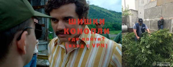 Альфа ПВП Елизово